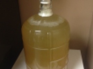After a month of fermentation